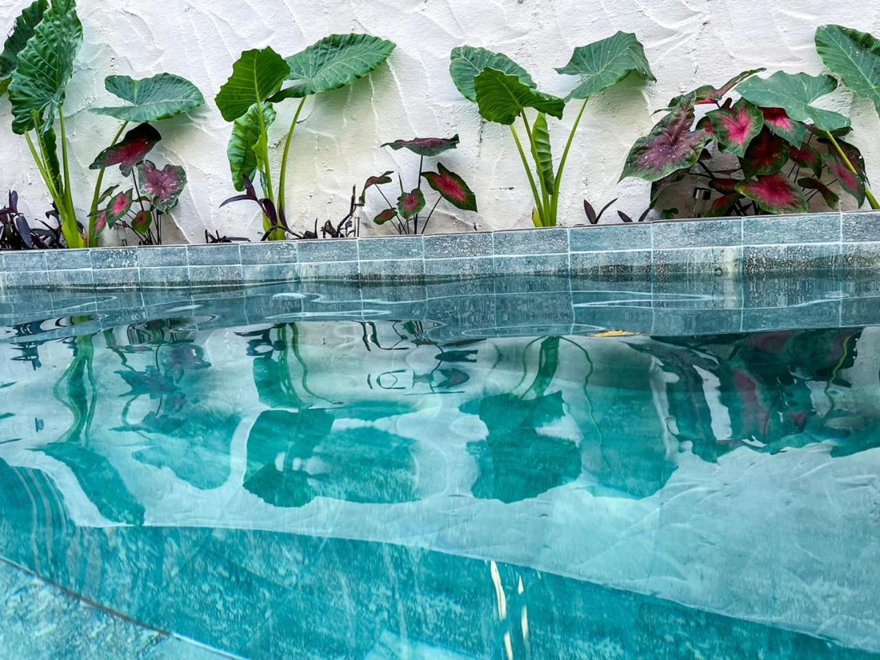 Dumangue Kite House Hotel Guriu Luaran gambar